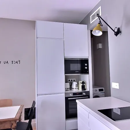 Parisian L Marais Apartment